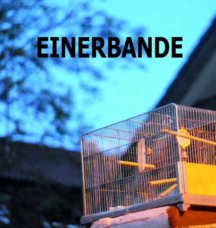 Einerbande Tomatenplatte 003 Vinyl + Digital Album